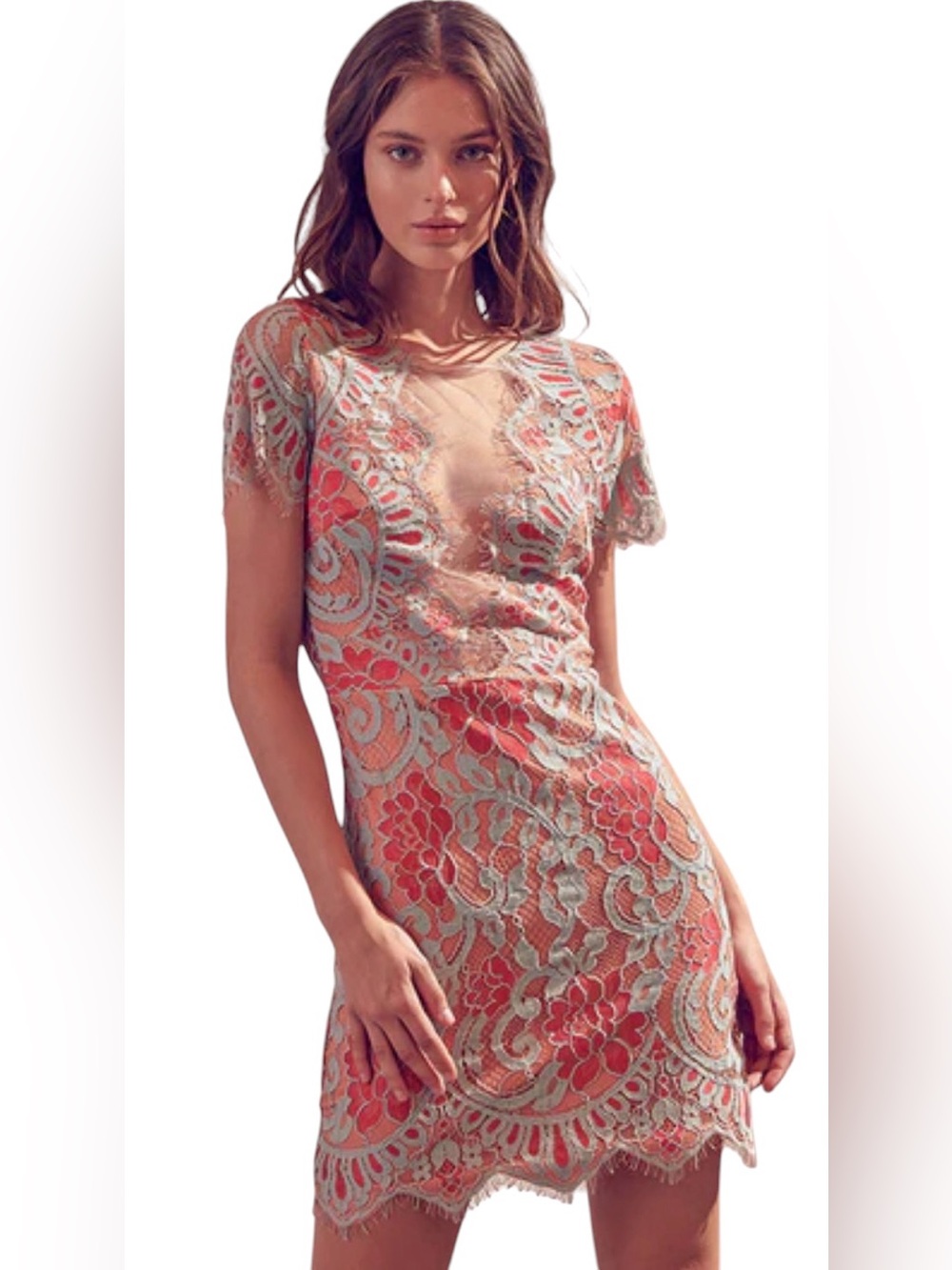Storia Lace Peekaboo Mini Dress Size S